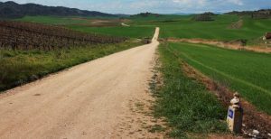 The Camino de Santiago pilgrimage trail