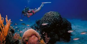 Scuba Diving in the Virgin Islands