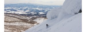 snowboarder_in_Hokkaido_Japan