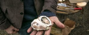 shucked oysters in Galway