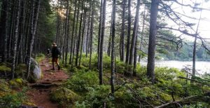 The Appalachian Trail near Mt. Katahdin