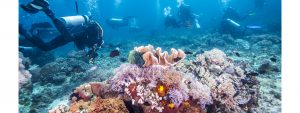 great_barrier_reef_scuba