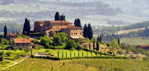 Tuscany vineyard