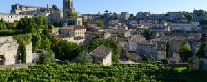 saint emilion vineyard