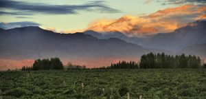 mendoza wine country