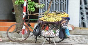 Banana Dabbawala