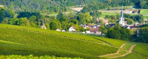 champagne vineyards in france