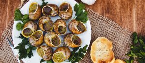 escargot on a plate