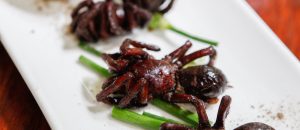 fried tarantulas cambodian delicacy