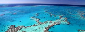 great_barrier_reef