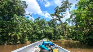 kayak in amazon