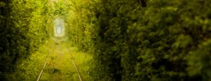 The Tunnel of Love in Romania